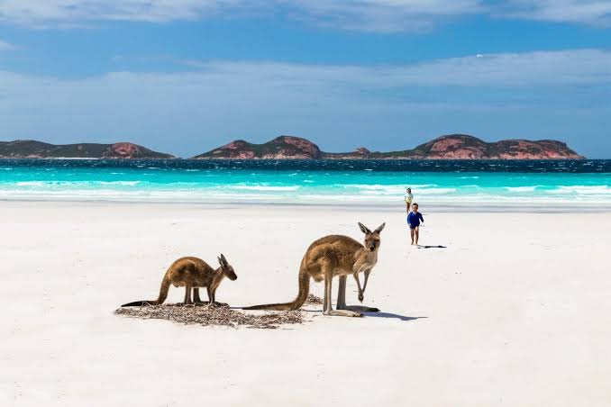 Australia Migration Changes 2026: Visa Hopping, Student & PR Rules
